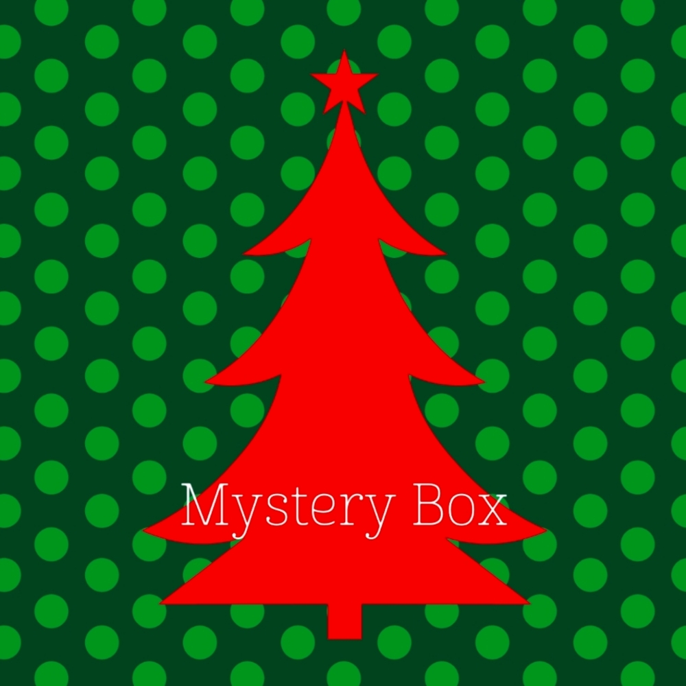 Rae Dunn Christmas Mystery Box